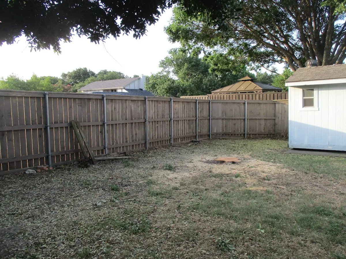 Cleared yard after professional tree removal in Wales